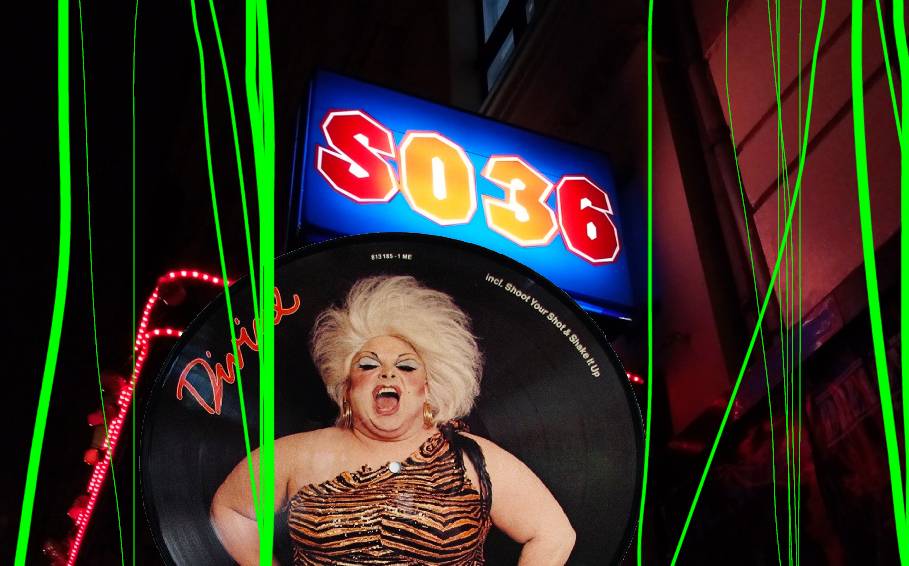 STUDIO36, SO36, Divine STUDIO36, SO36, Divine